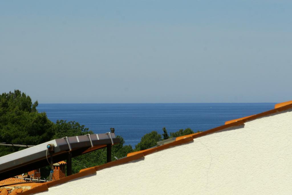 Apartments Rossana 포레치 객실 사진
